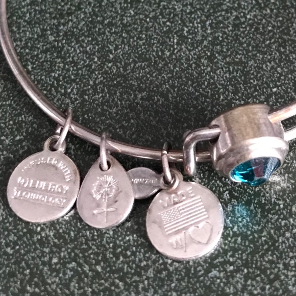 Alex and Ani Expandable Wire Bracelet - Picture 12 of 16